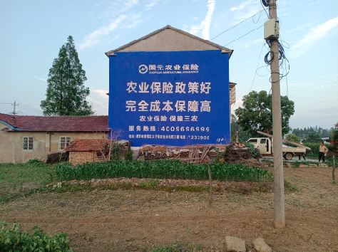 凤山墙体广告为何受追捧?