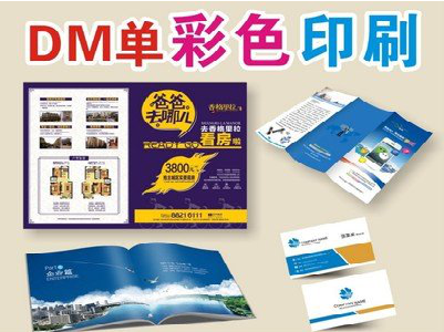 凤山单页印刷，色彩搭配简单。